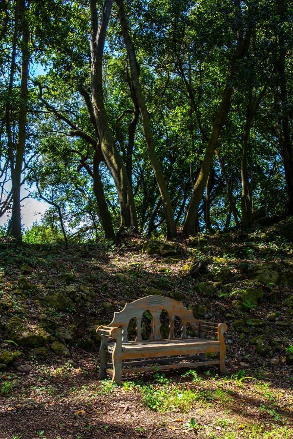 Vibe Luxury Cabins อาร์นูเอโร ภายนอก รูปภาพ